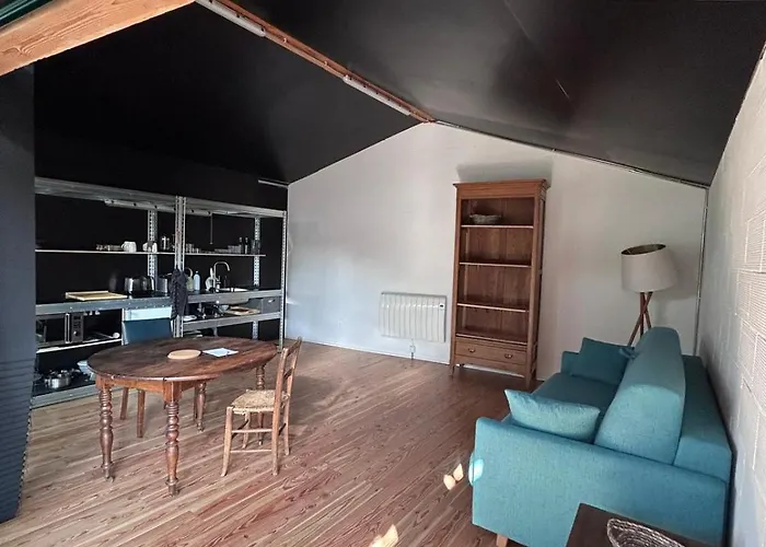 Avec Terrasse Апартаменты Тулуза